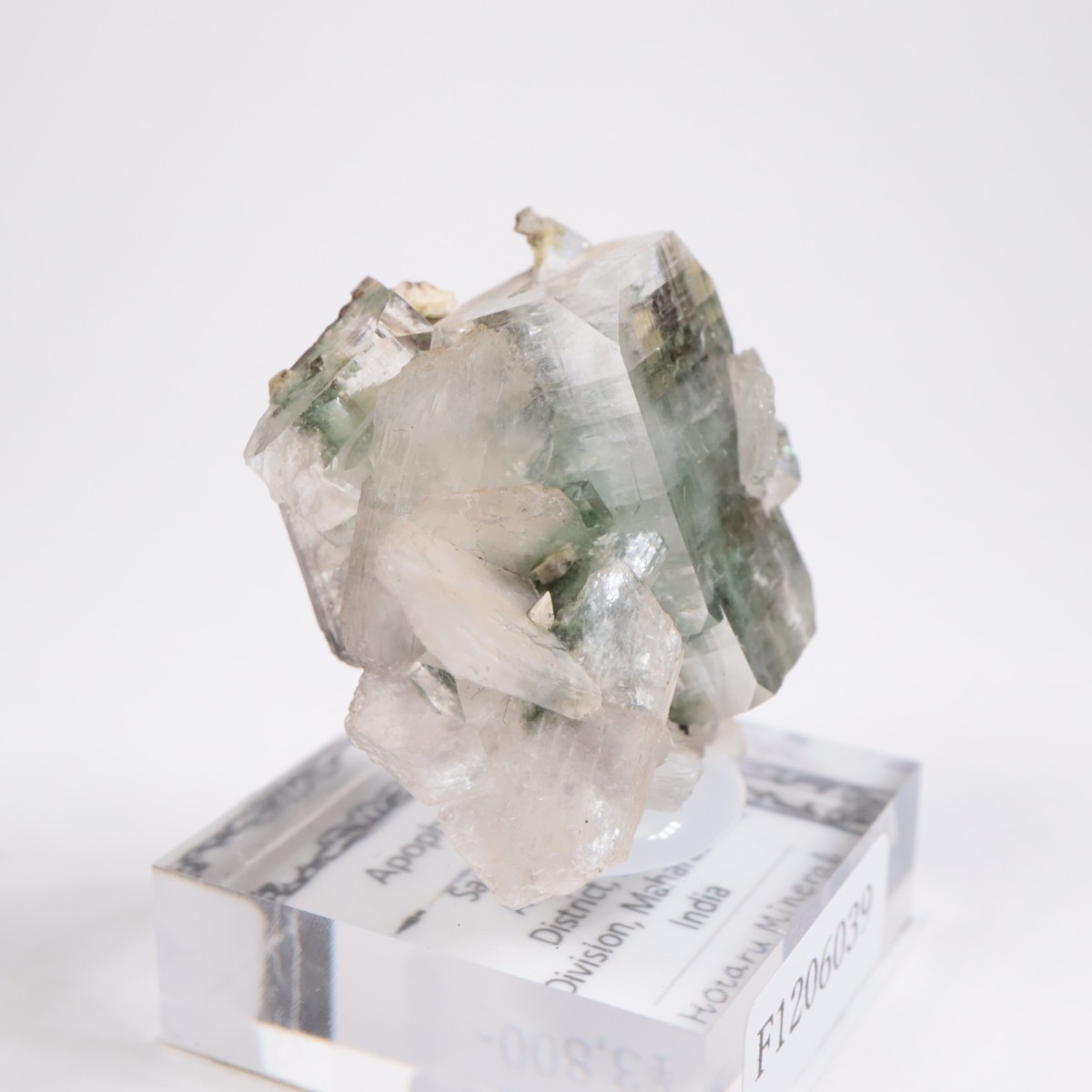 ����ɻ� ���ݥե��饤��