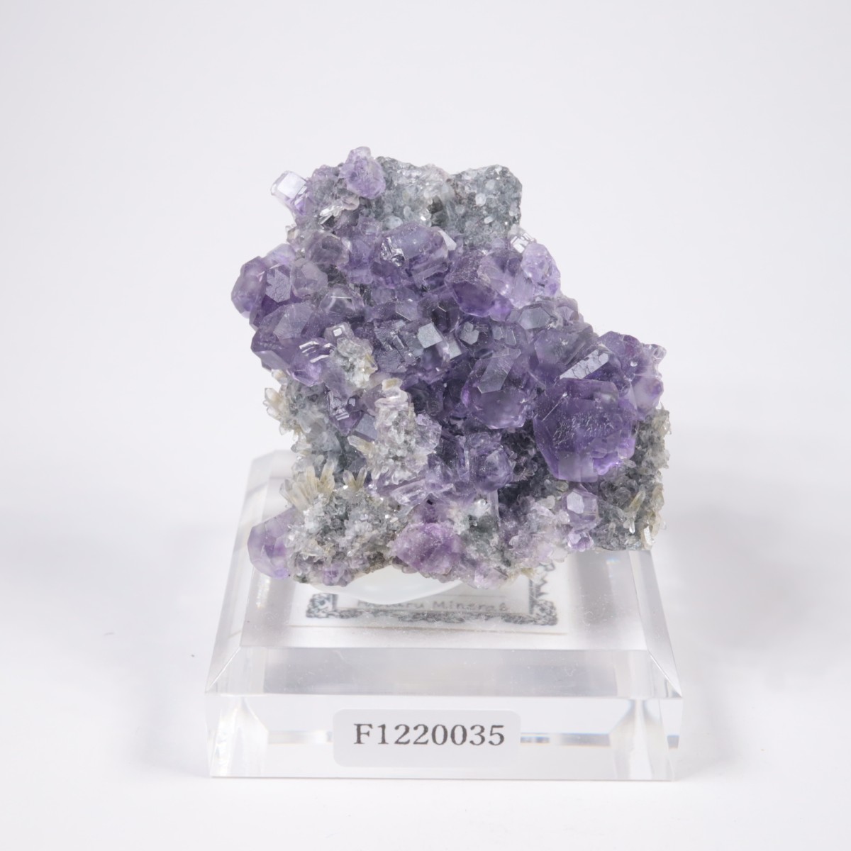 ��� �ե����饤��