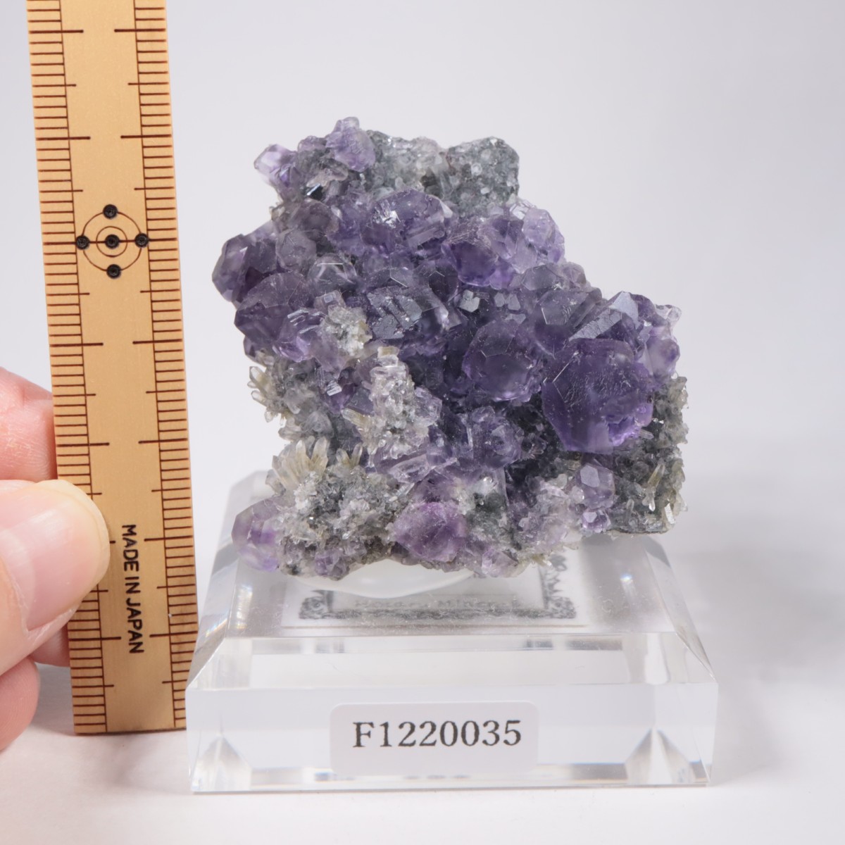 ��� �ե����饤��