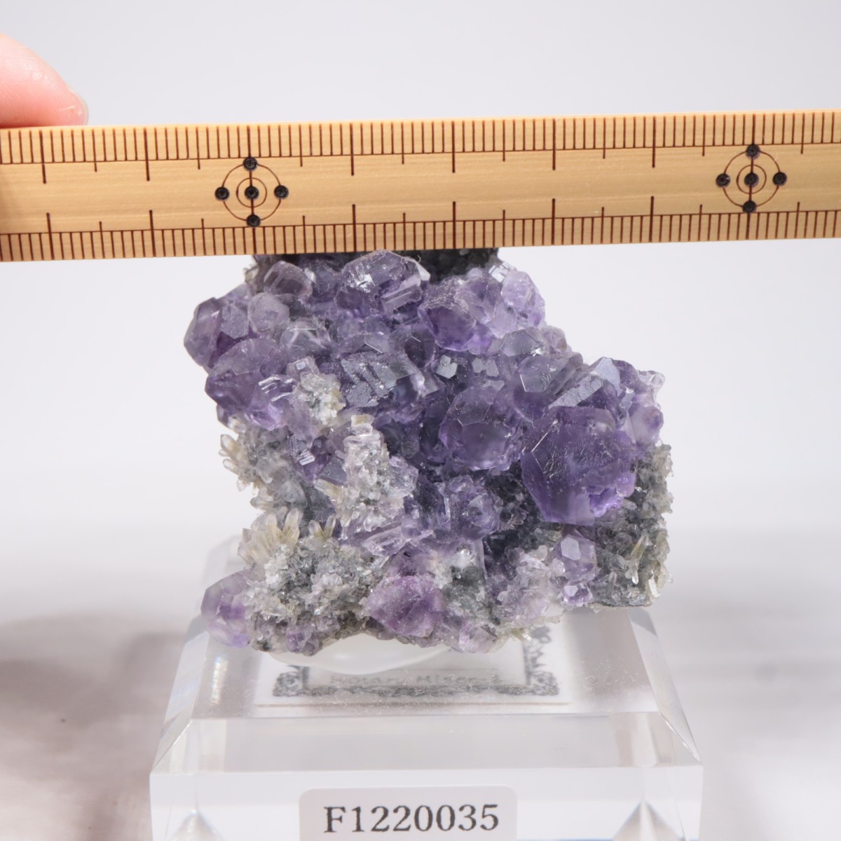 ��� �ե����饤��