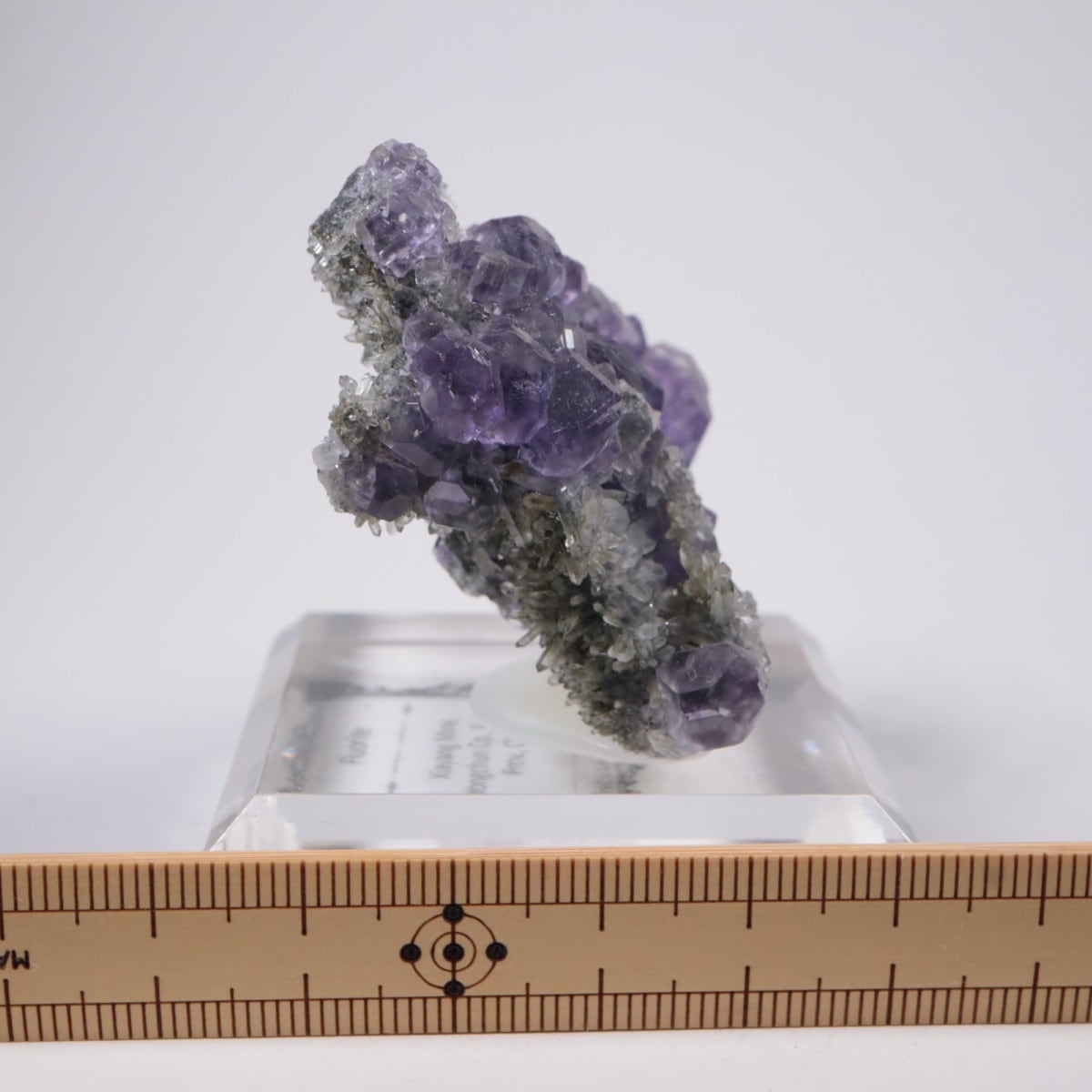 ��� �ե����饤��