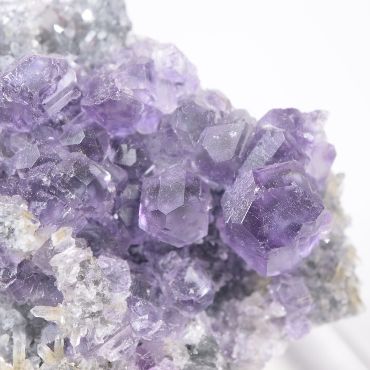 ��� �ե����饤��