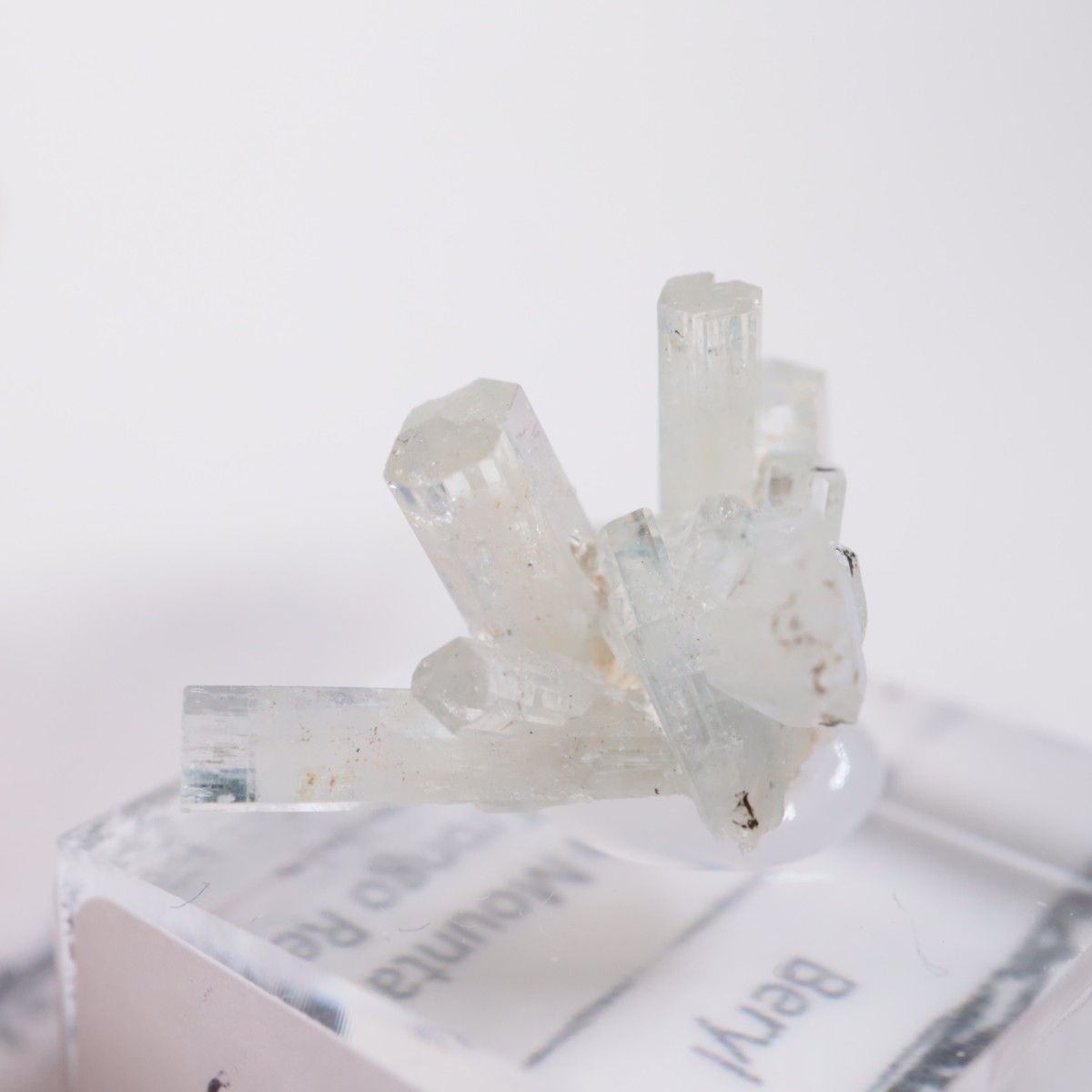 �����󥴹ۻ��� �٥��