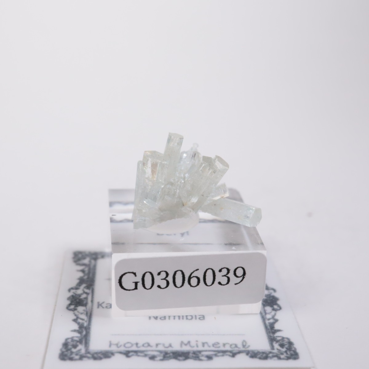 �����󥴹ۻ��� �٥��