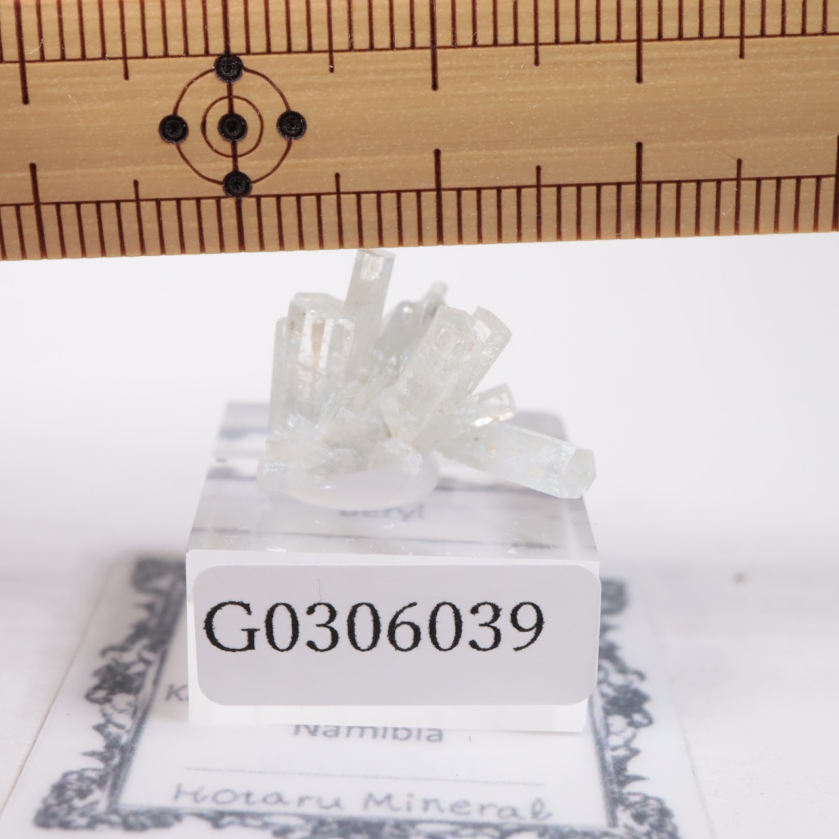 �����󥴹ۻ��� �٥��