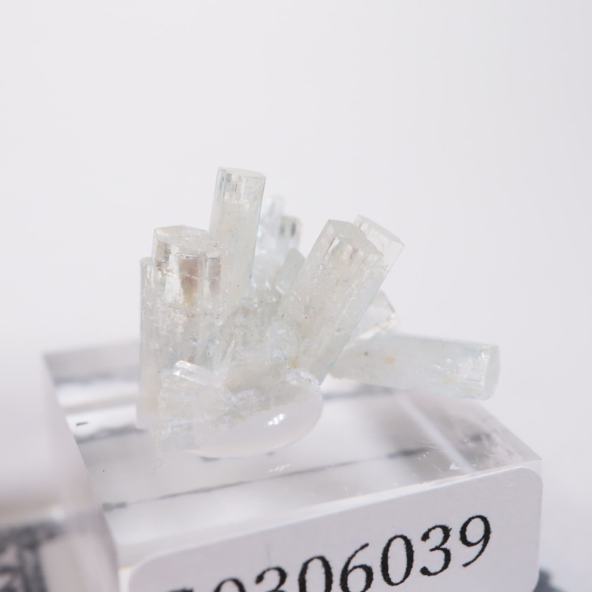 �����󥴹ۻ��� �٥��