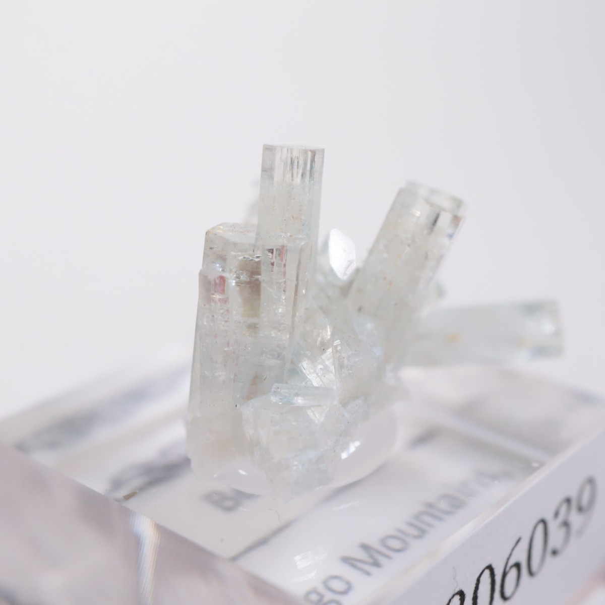 �����󥴹ۻ��� �٥��