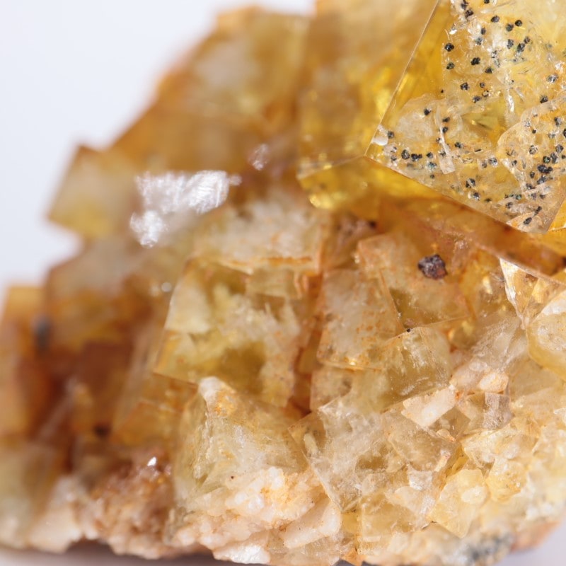 閉山ヒルトン鉱山　フローライト 蛍石　鉱物　鉱物標本 原石 fluorite ヒルトン鉱山 フローライト | 鉱物標本,ハ行,フローライト/蛍石