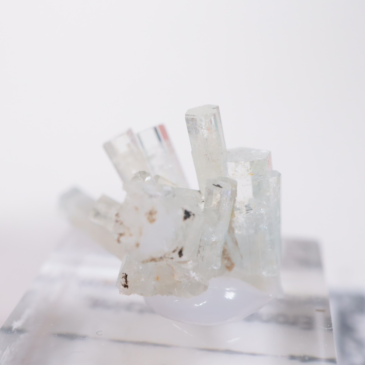 �����󥴹ۻ��� �٥��