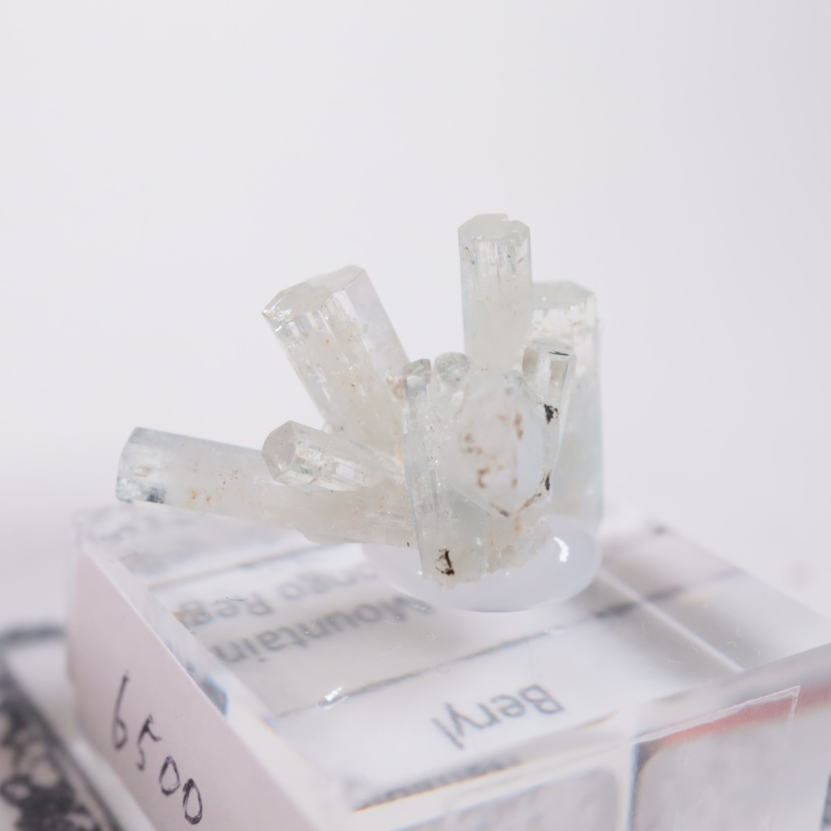 �����󥴹ۻ��� �٥��