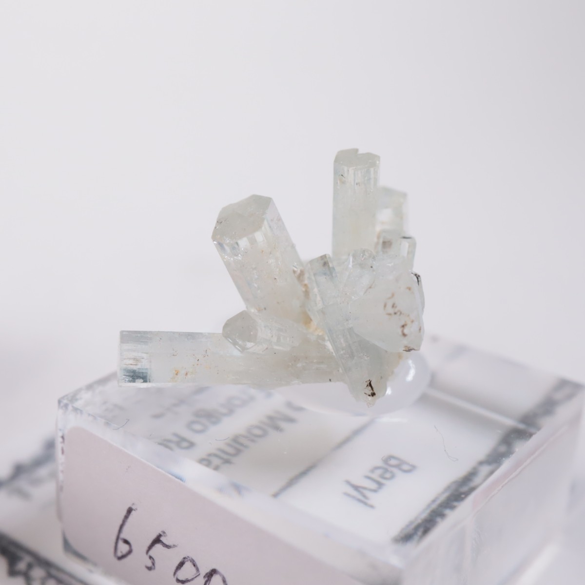 �����󥴹ۻ��� �٥��