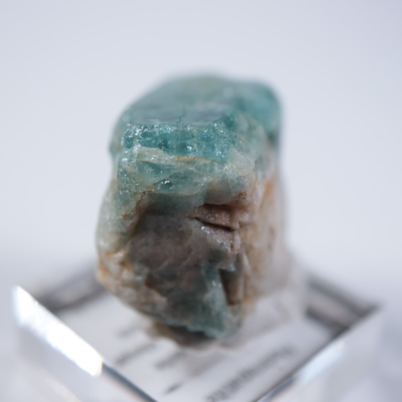 ���󥶥˥��������ѥ�����