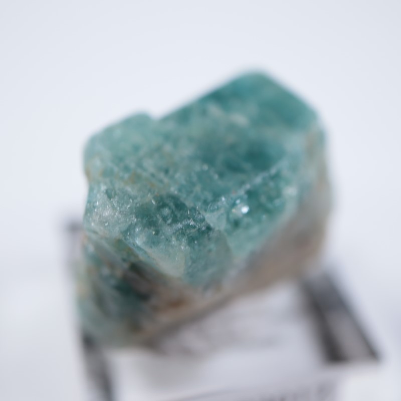 ���󥶥˥��������ѥ�����