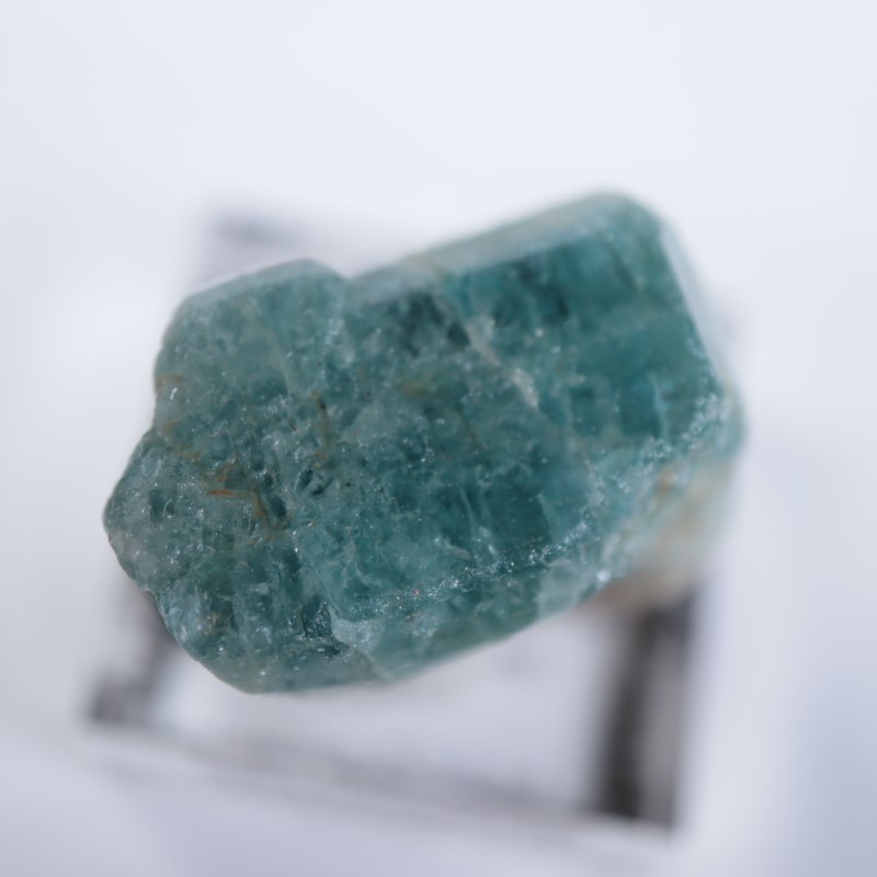 ���󥶥˥��������ѥ�����