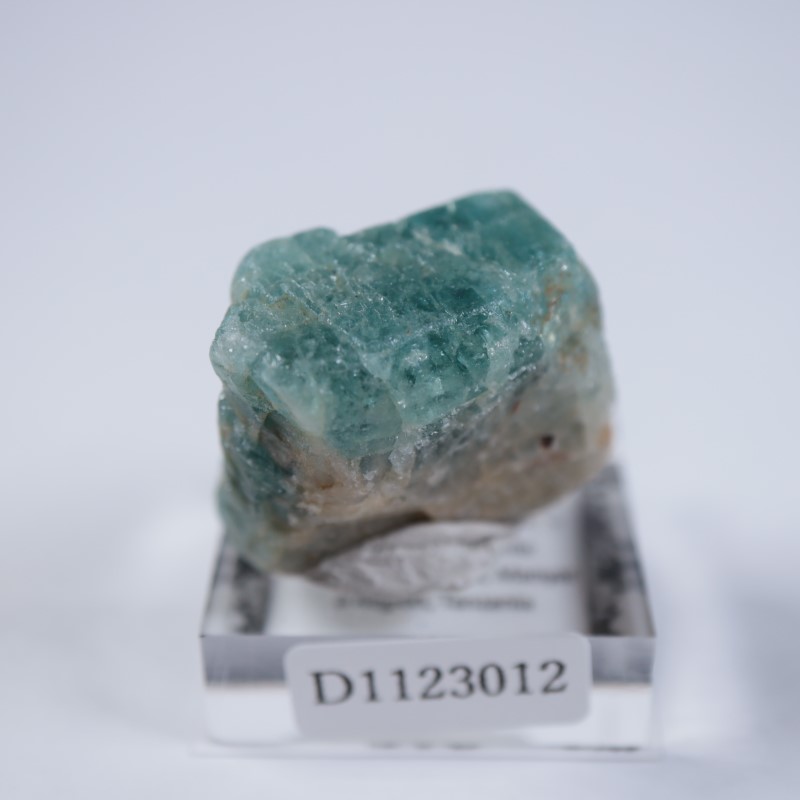 ���󥶥˥��������ѥ�����