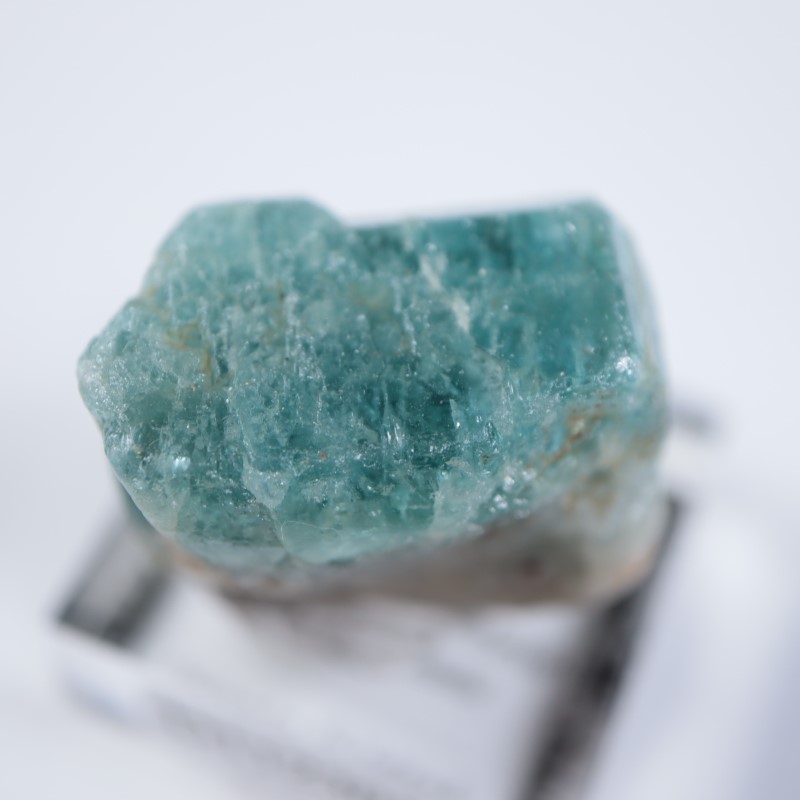 ���󥶥˥��������ѥ�����