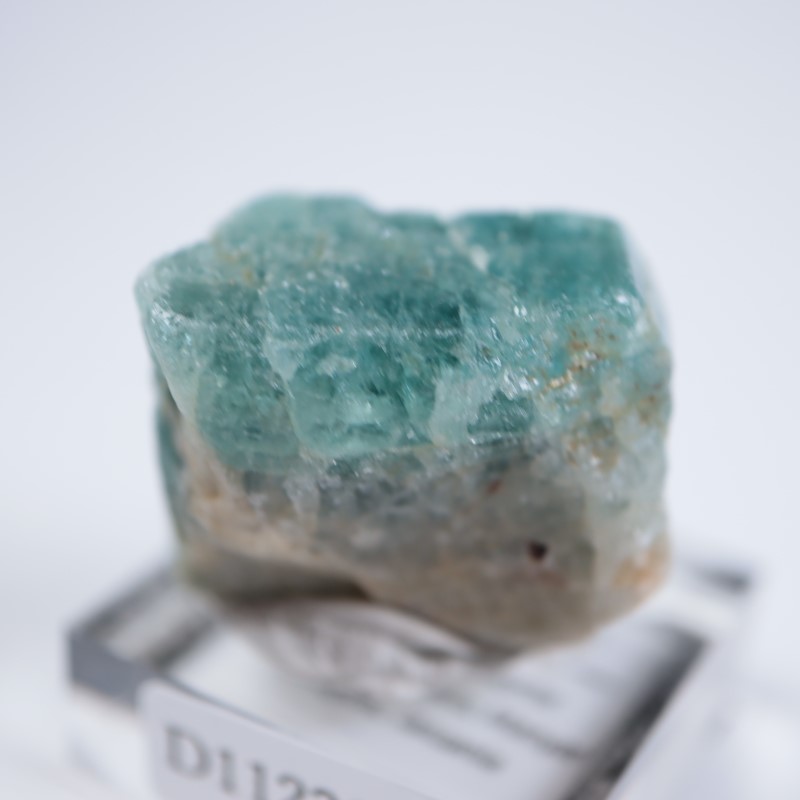 ���󥶥˥��������ѥ�����