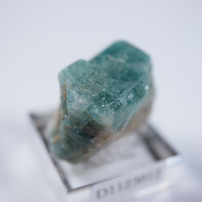 ���󥶥˥��������ѥ�����