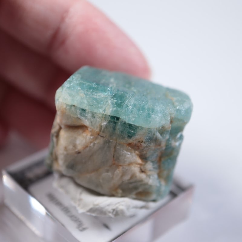 ���󥶥˥��������ѥ�����