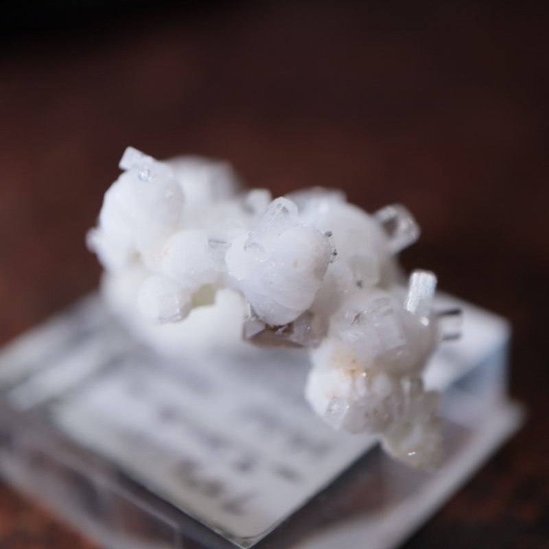 魚の形の自然石 約1億年前の絶滅古代魚！保存状態に優れ、サイズもあり、しかも