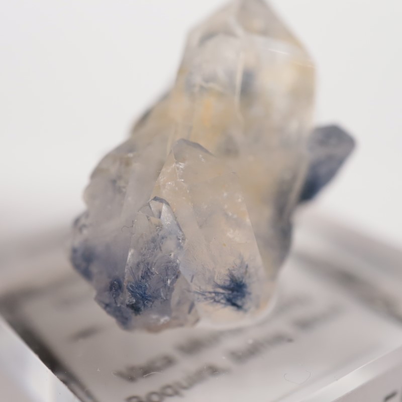 �ǥ�������饤������徽