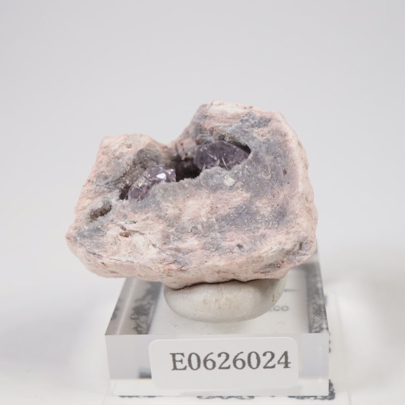 Sonora�������᥷����