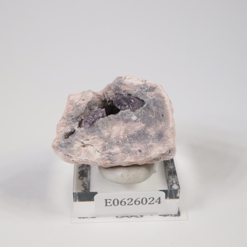 Sonora�������᥷����