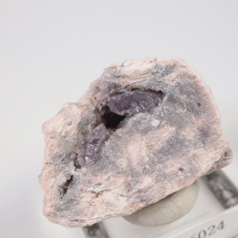 Sonora�������᥷����