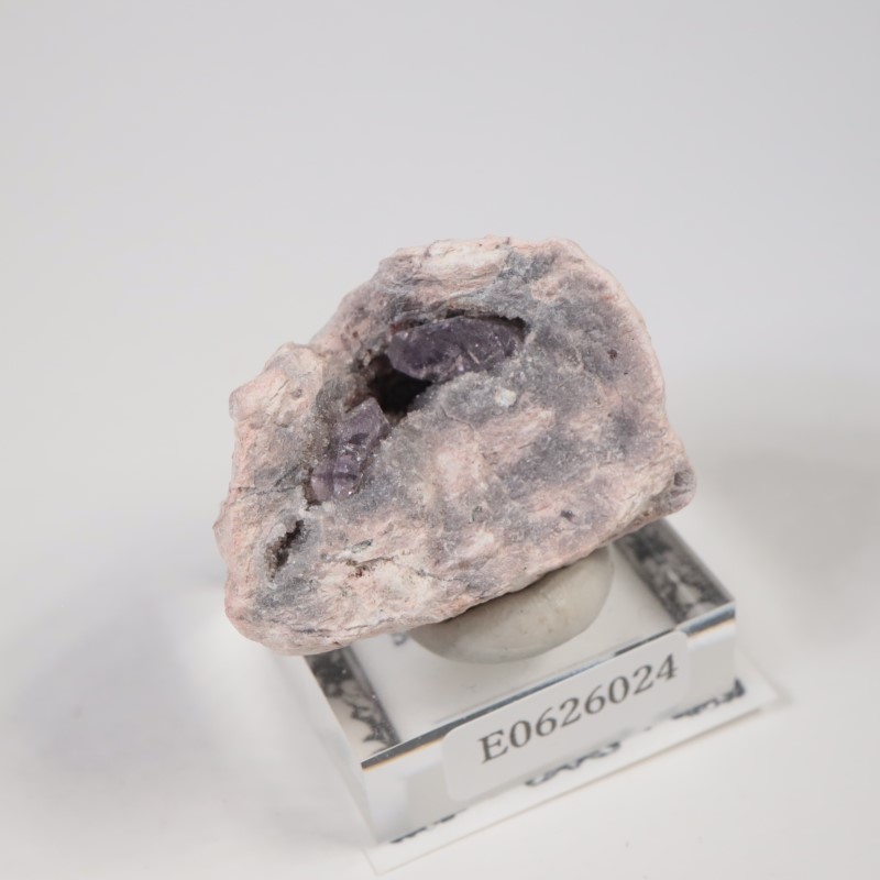 Sonora�������᥷����