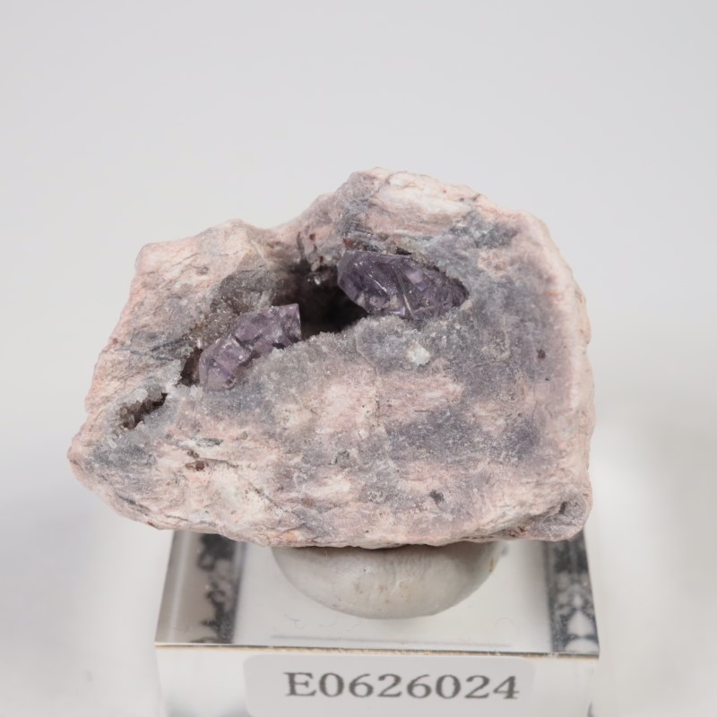 Sonora�������᥷����