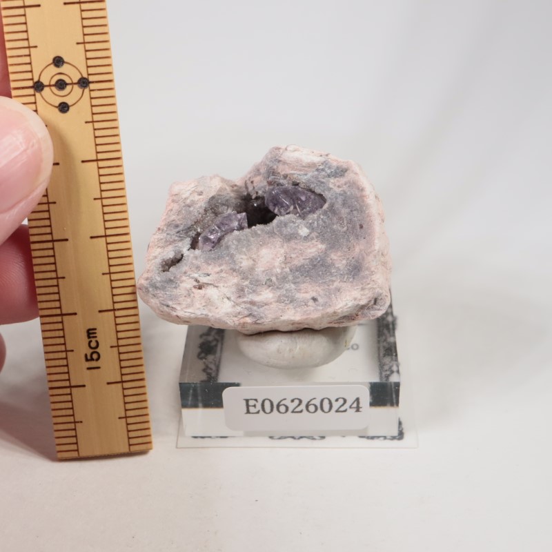 Sonora�������᥷����