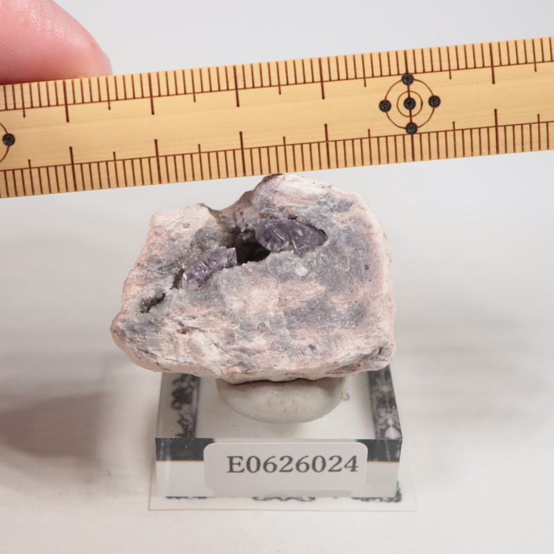 Sonora�������᥷����