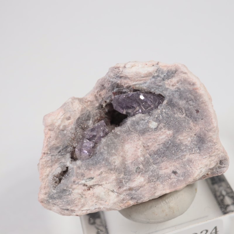 Sonora�������᥷����