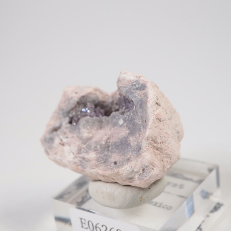 Sonora�������᥷����