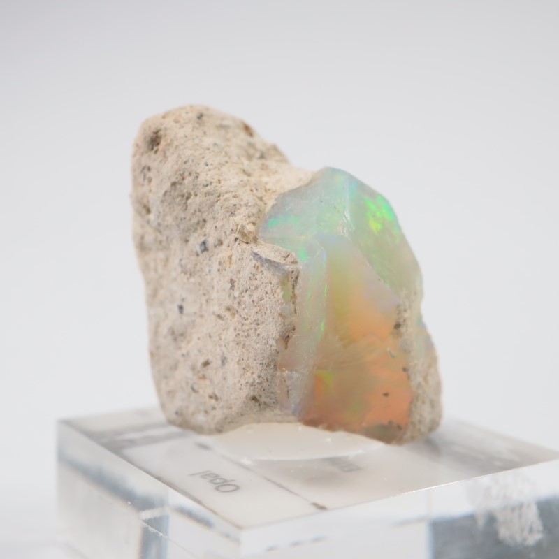 �������ԥ��� ���ѡ���