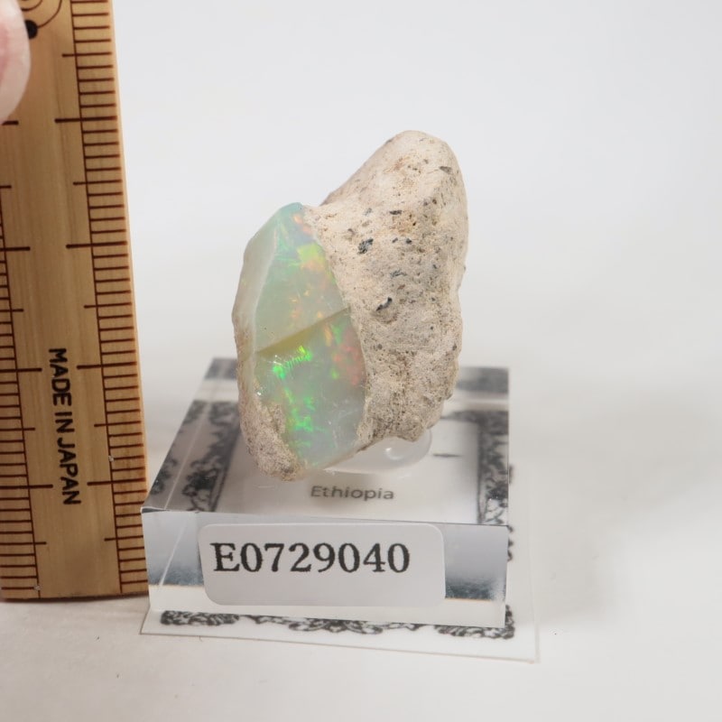 �������ԥ��� ���ѡ���