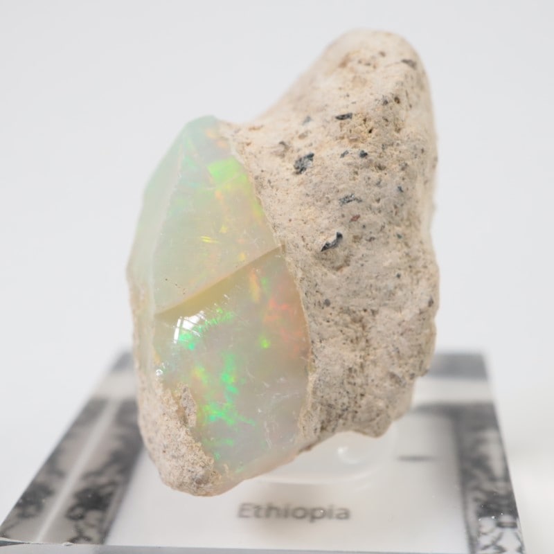 �������ԥ��� ���ѡ���