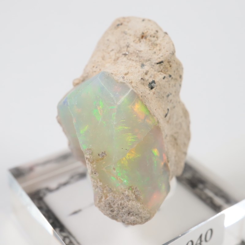 �������ԥ��� ���ѡ���