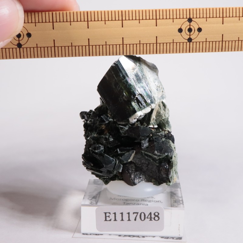 タンザニア産 アクチノライト | 鉱物標本,その他の鉱物 | ほたるみねら