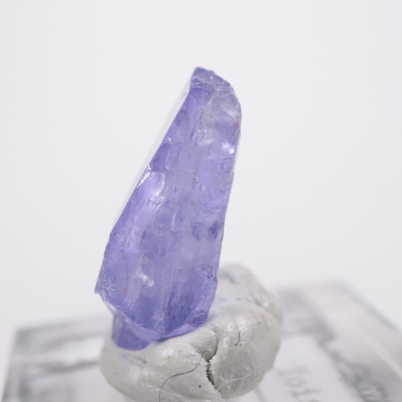 ���󥶥˥��� ���󥶥ʥ���