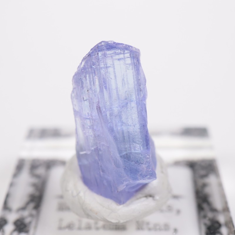 ���󥶥˥��� ���󥶥ʥ���