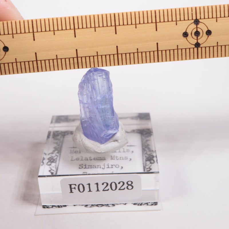 ���󥶥˥��� ���󥶥ʥ���