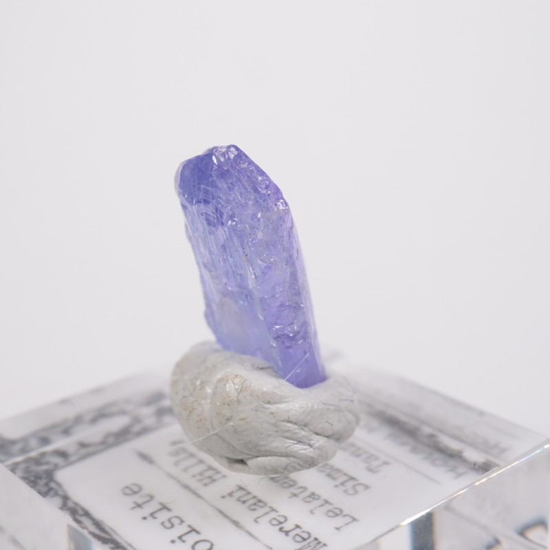 ���󥶥˥��� ���󥶥ʥ���