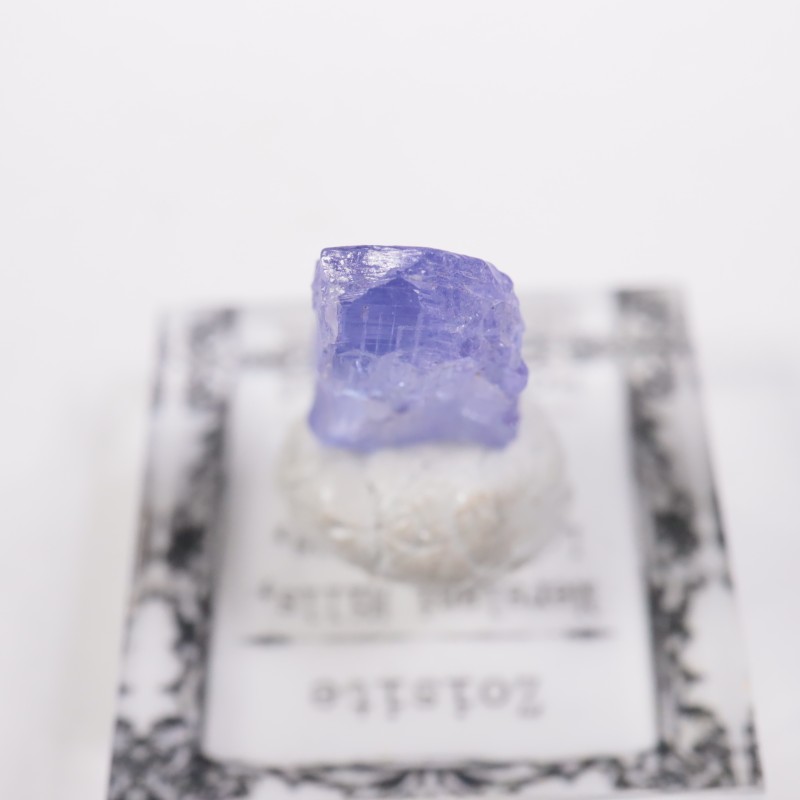 ���󥶥˥��� ���󥶥ʥ���