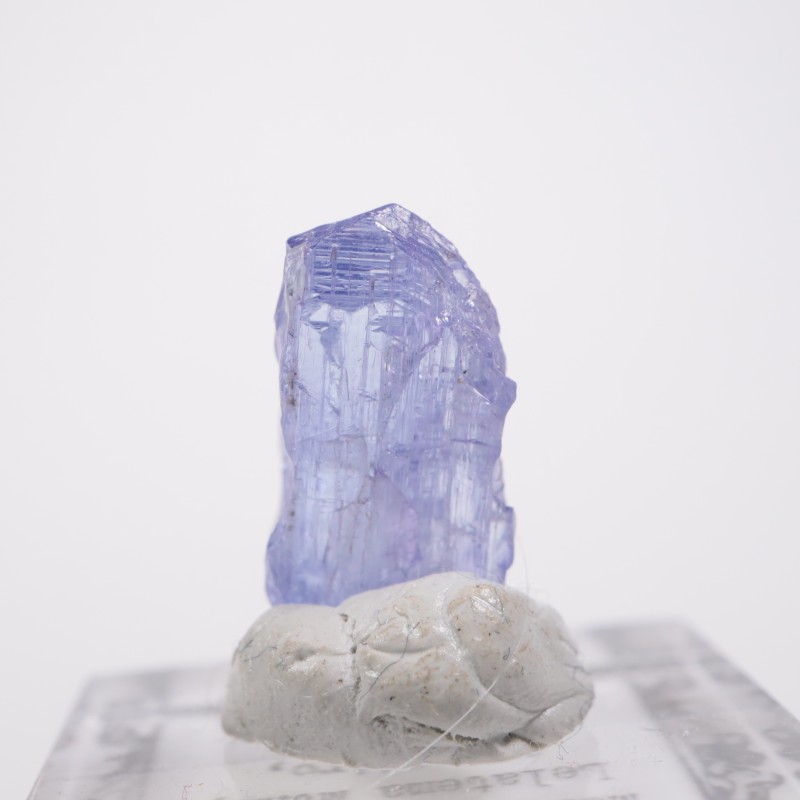 ���󥶥˥��� ���󥶥ʥ���