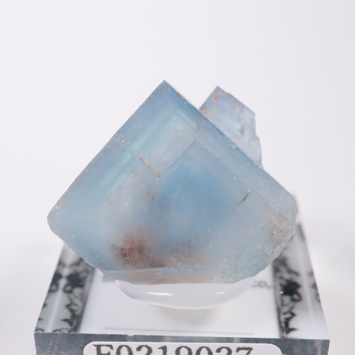 �˥塼�ᥭ�������� �ե����饤��