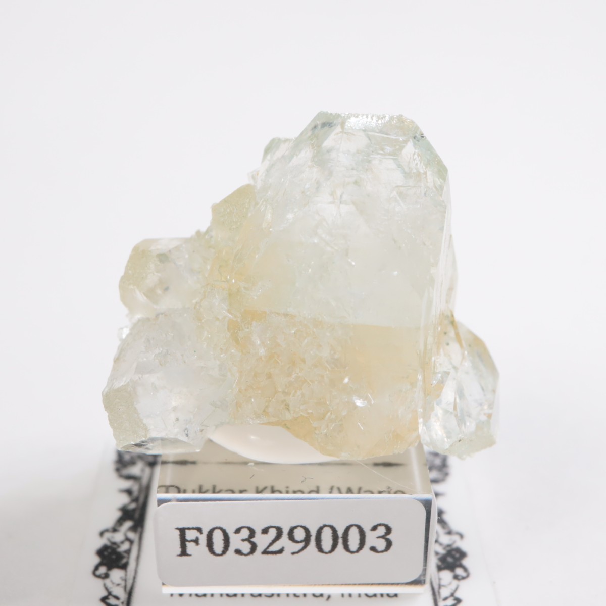 ����ɻ� ���ݥե��饤��