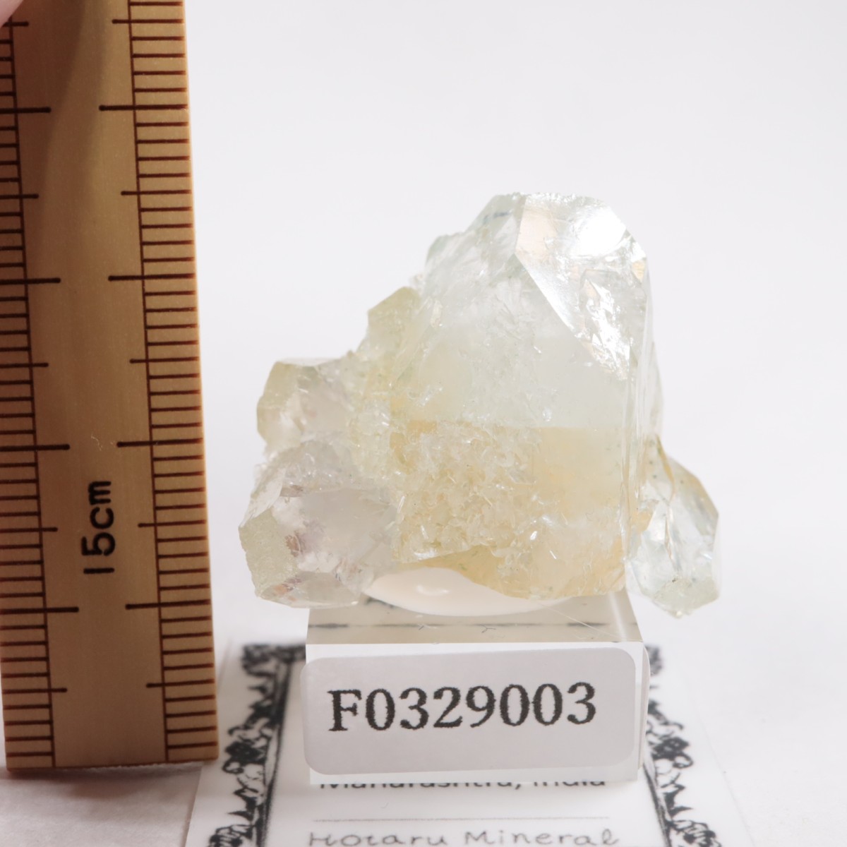 ����ɻ� ���ݥե��饤��