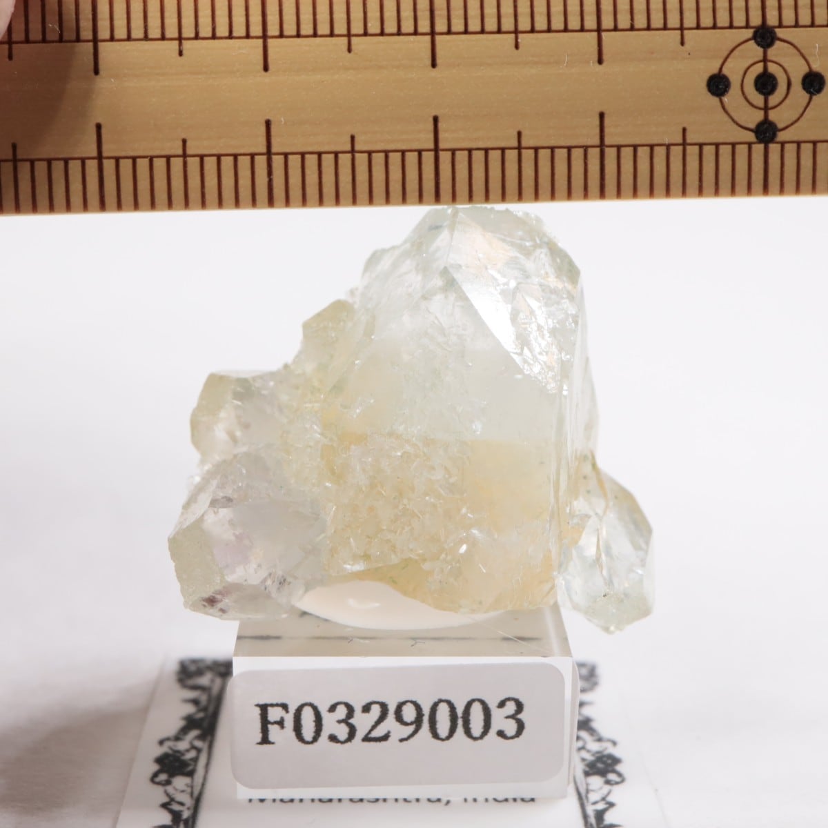 ����ɻ� ���ݥե��饤��