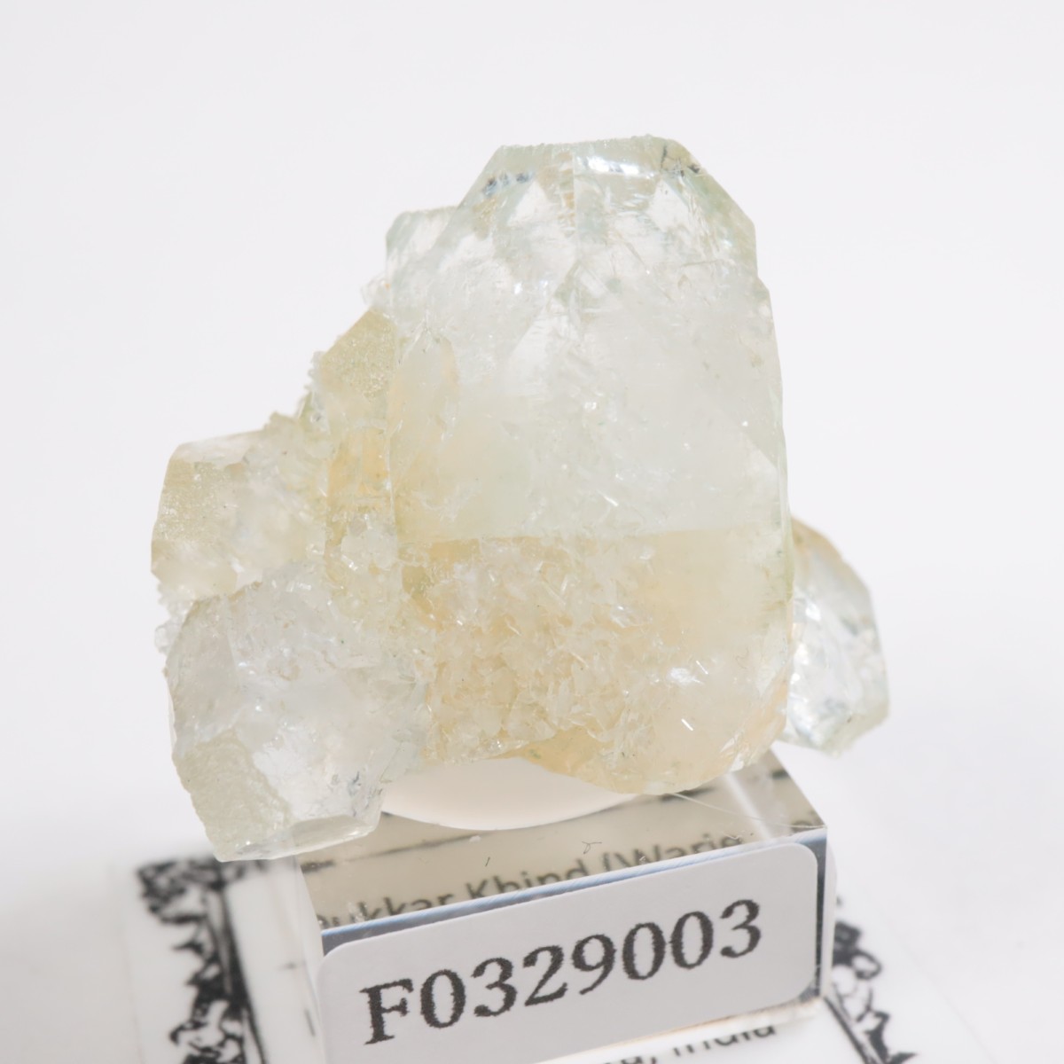 ����ɻ� ���ݥե��饤��